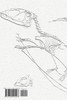A Pterodactyl's Wingspan