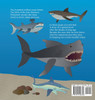 Sharks Our Ocean Guardians