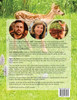 Fairy the Friendly Fawn