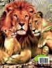 Lion Coloring Book for Kids