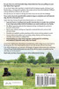 Adult Dog Training Through Positive Reinforcement