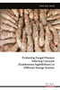 Evaluating Fungal Diseases Infecting Cocoyam (Xanthosoma Sagittifolium) in Different Storage Systems