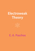 Electroweak Theory