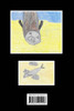 The Hawaiian Monk Seal - `Īlio-holo-i-ka-uaua