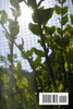The ABC's of Nature's Best Herbal Tonics