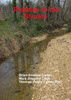 Pebbles in the Stream