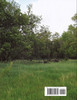 Pine Grove Farm