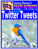 James Reesor's Crazy Patriots Twitter Tweets