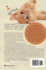 Learning To Count with the Help of Animal Families