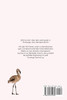 Flamingos Das Ultimative Buch