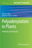 Polyadenylation in Plants