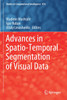 Advances in Spatio-Temporal Segmentation of Visual Data