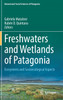Freshwaters and Wetlands of Patagonia
