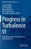 Progress in Turbulence VI