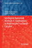 Intelligent Numerical Methods II