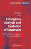 Emergence, Analysis and Evolution of Structures