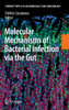 Molecular Mechanisms of Bacterial Infection Via the Gut
