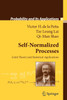 Self-Normalized Processes