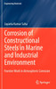 Corrosion of Constructional Steels in Marine and Industrial Environment
