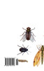 Die Orthopteren Europas II / The Orthoptera of Europe II