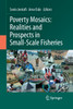 Poverty Mosaics