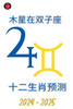 木星在双子座  2024-2025