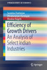 Efficiency of Growth Drivers