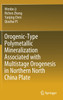 Orogenic-Type Polymetallic Mineralization Associated with Multistage Orogenesis in Northern North China Plate