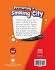Protecting a Sinking City
