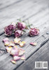 Grief Journal