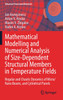 Mathematical Modelling and Numerical Analysis of Size-Dependent Structural Members in Temperature Fields