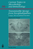 Transmissible Spongiform Encephalopathies