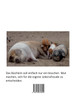 Vom Glück der Seele und der Schweine