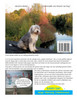 Juppies Abenteuer - ein Bearded Collie on Tour