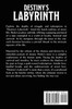Destiny's Labyrinth, A Novella