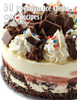 50 Premium Ice Cream Cake Recipes