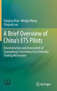 A Brief Overview of China's ETS Pilots