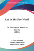 Life In The New World