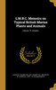 L.M.B.C. Memoirs on Typical British Marine Plants and Animals; Volume 15. Antedon