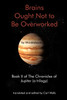 Brains Ought Not to Be Overworked