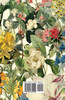 250 Beautiful Flowers and How to Grow Them