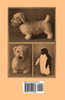 The Making of Soft Toys - Including a Set of Full-Sized Patterns for Animals and Birds