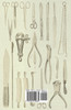 Practical Taxidermy - A Working Guide