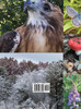 Seasons of the Pine Bush