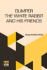 Bumper The White Rabbit And His Friends