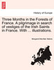 Three Months in the Forests of France. A pilgrimage in search of vestiges of the Irish Saints in France. With ... illustrations.