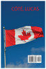 French and Canadian Recipes