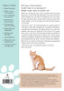 First Aid For Cats