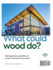 2022 INTERNATIONAL MASS TIMBER REPORT