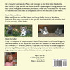 The Kittens and The Baby Chicks